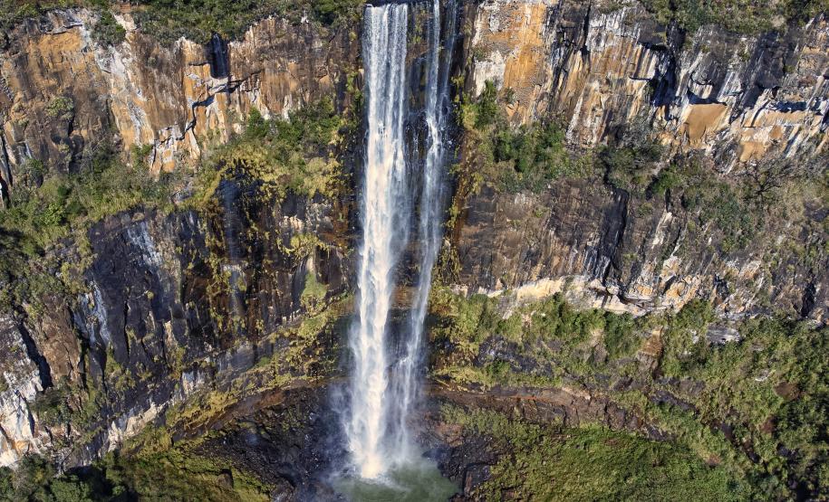 Da maior à mais aquática: um tour sobre as curiosidades das Unidades de Conservação