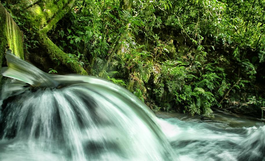 Feriado prolongado: Unidades de Conservação permitem folga perto da natureza