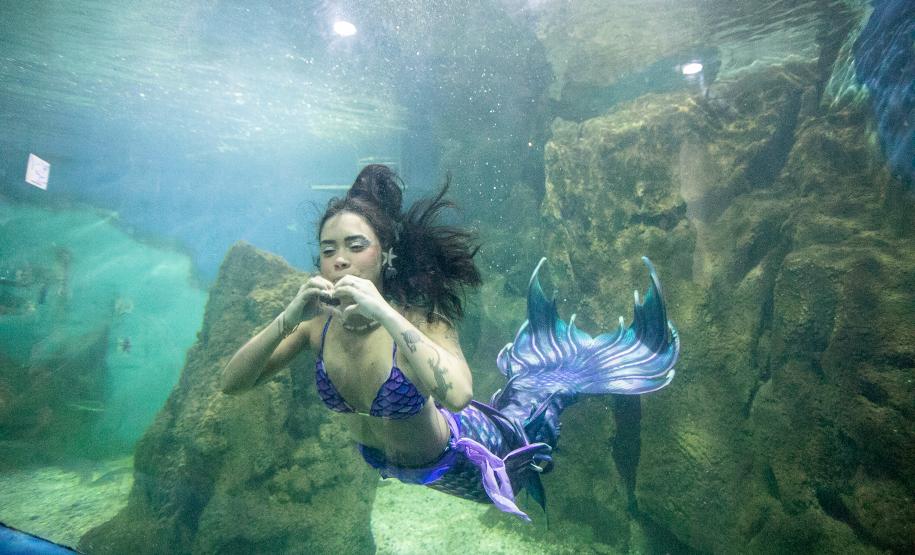 Aquário de Paranaguá terá novos animais e atrações especiais para a temporada