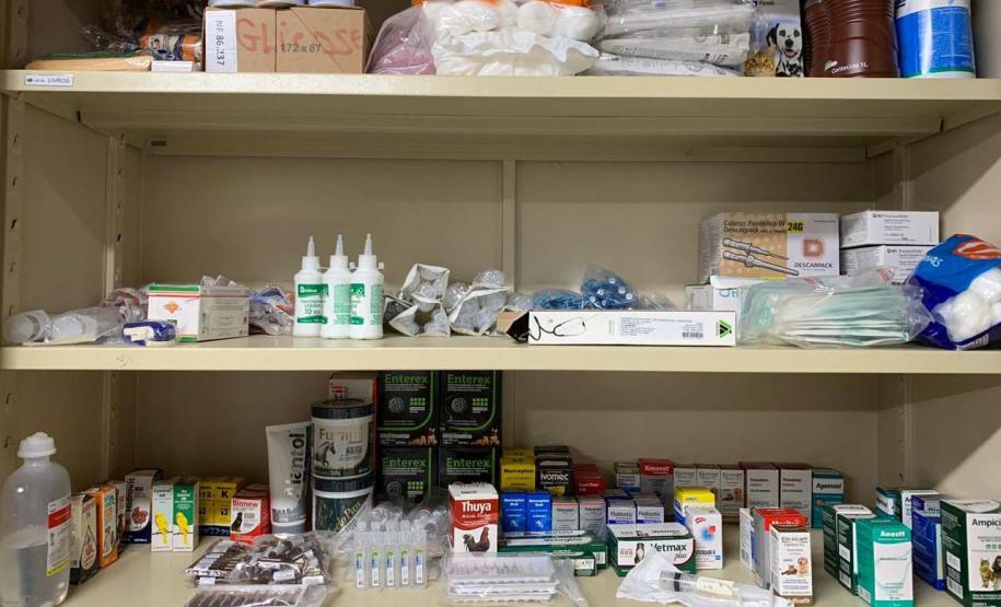 IAT reforça pronto atendimento à fauna silvestre do Litoral para a temporada de verão