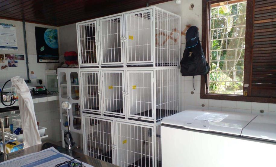 IAT reforça pronto atendimento à fauna silvestre do Litoral para a temporada de verão