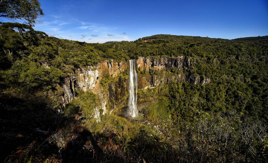 Trilhas do Salto São Francisco serão fechadas temporariamente para remoção de espécies exóticas