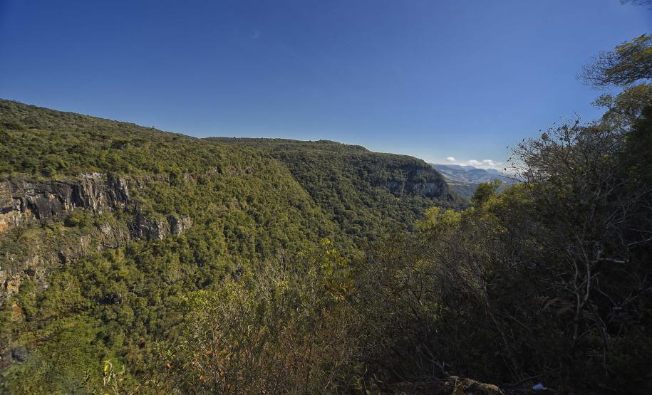 Trilhas do Salto São Francisco serão fechadas temporariamente para remoção de espécies exóticas