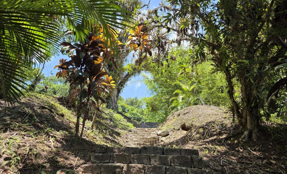 Parque Estadual do Palmito, em Paranaguá, vai receber uma oficina sobre restauração ambiental na quarta-feira