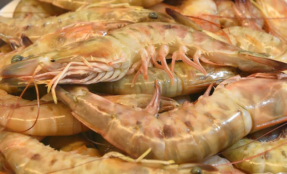 Período de defeso do camarão começa nesta quarta-feira (28) no Paraná e se estende até o dia 30 de abril.