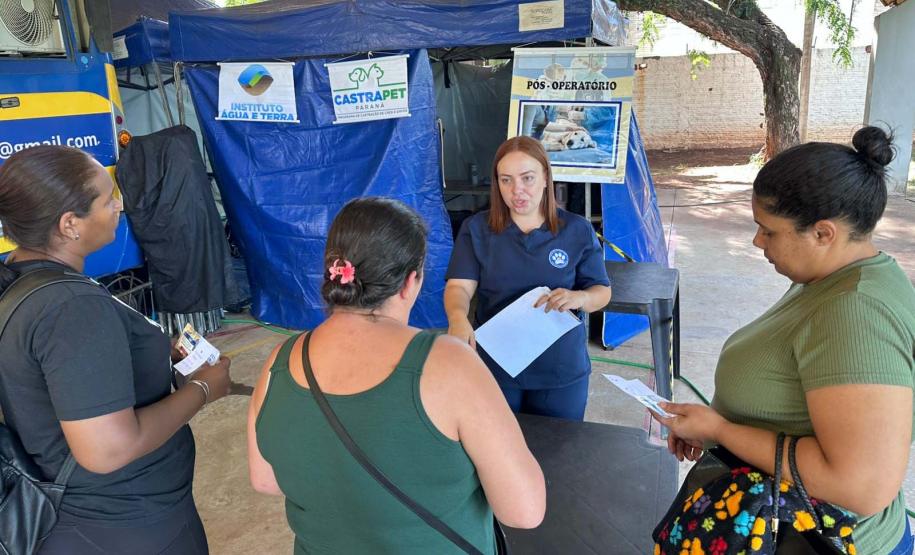 CastraPet Paraná: Estado reforça cuidados prévios para a esterilização de cães e gatos