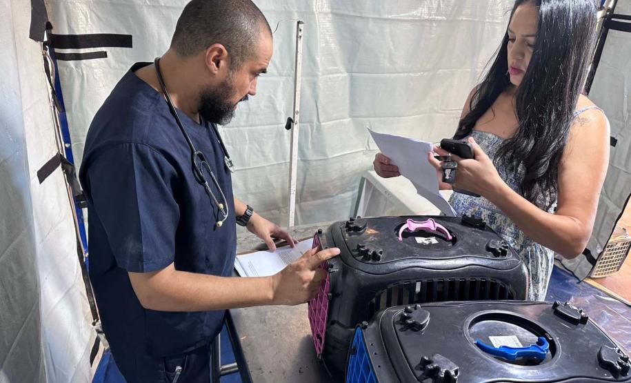 CastraPet Paraná: Estado reforça cuidados prévios para a esterilização de cães e gatos