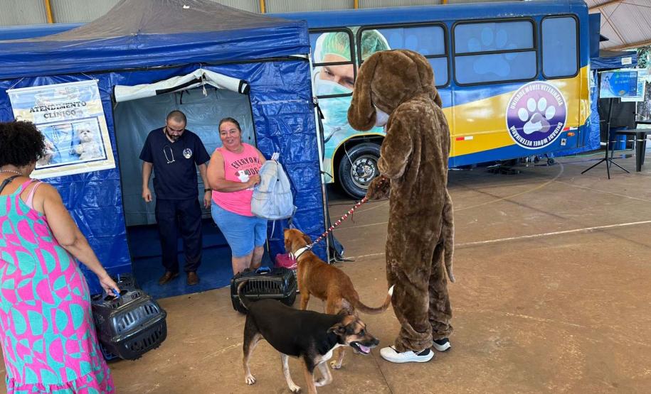 CastraPet Paraná: Estado reforça cuidados prévios para a esterilização de cães e gatos