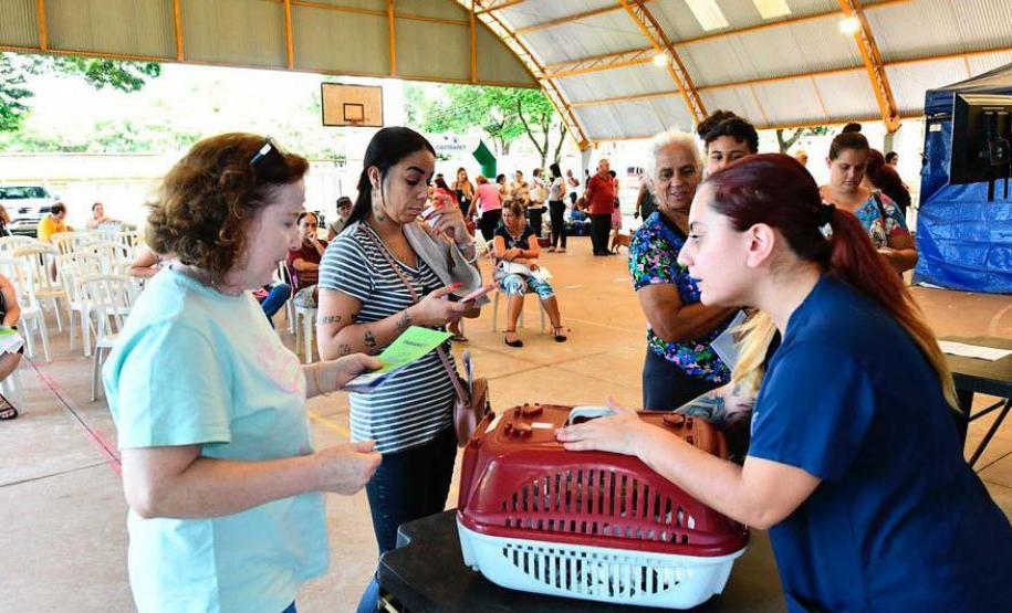 CastraPet Paraná: Estado reforça cuidados prévios para a esterilização de cães e gatos