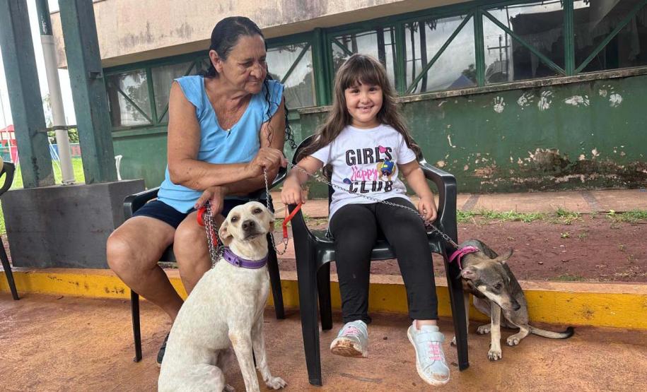 CastraPet Paraná: Estado reforça cuidados prévios para a esterilização de cães e gatos