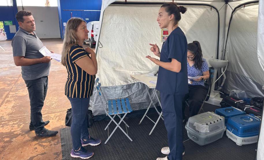 Estado retoma CastraPet em 42 municípios em janeiro