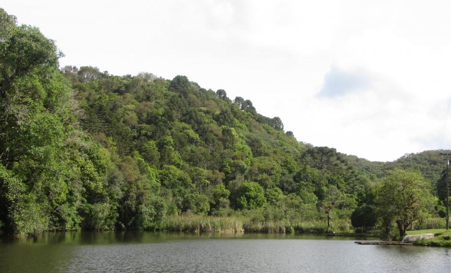 Estado divulga relação final de reservas naturais do edital de créditos de biodiversidade