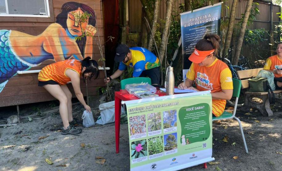 A partir da segunda-feira (26) o foco da agenda ambiental dentro do Verão Maior Paraná terá como eixo “Cidadania Ambiental, Sustentabilidade, Mudanças Climáticas e Poluição"