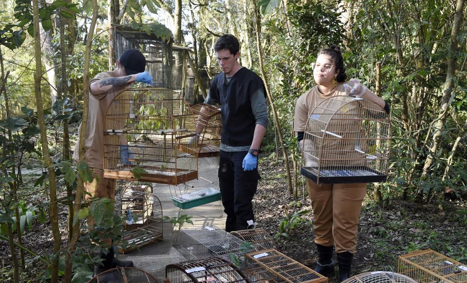 Governo do Estado prestou assistência a 4.552 animais silvestres entre janeiro e novembro de 2025.