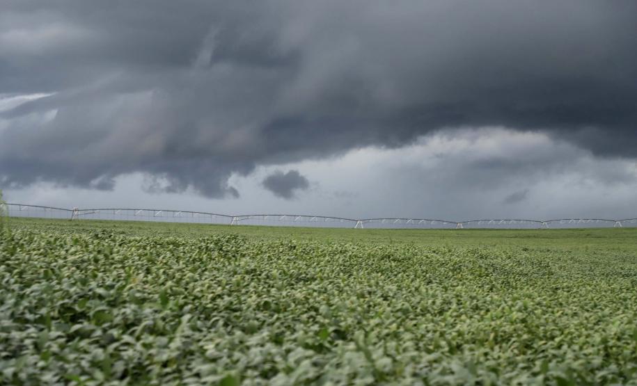 Janeiro terá muita chuva e calor dentro da média, afirma Simepar
