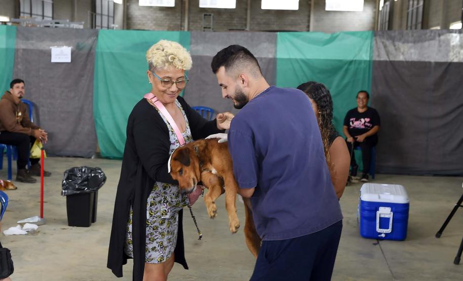 CastraPet leva saúde e bem-estar a cães e gatos da Região Metropolitana de Curitiba