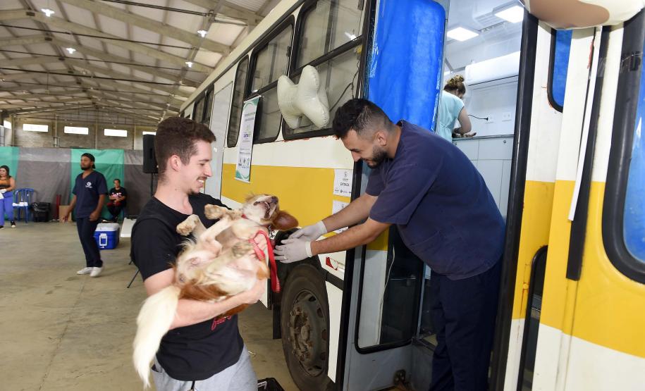 CastraPet leva saúde e bem-estar a cães e gatos da Região Metropolitana de Curitiba