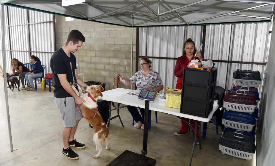 CastraPet leva saúde e bem-estar a cães e gatos da Região Metropolitana de Curitiba