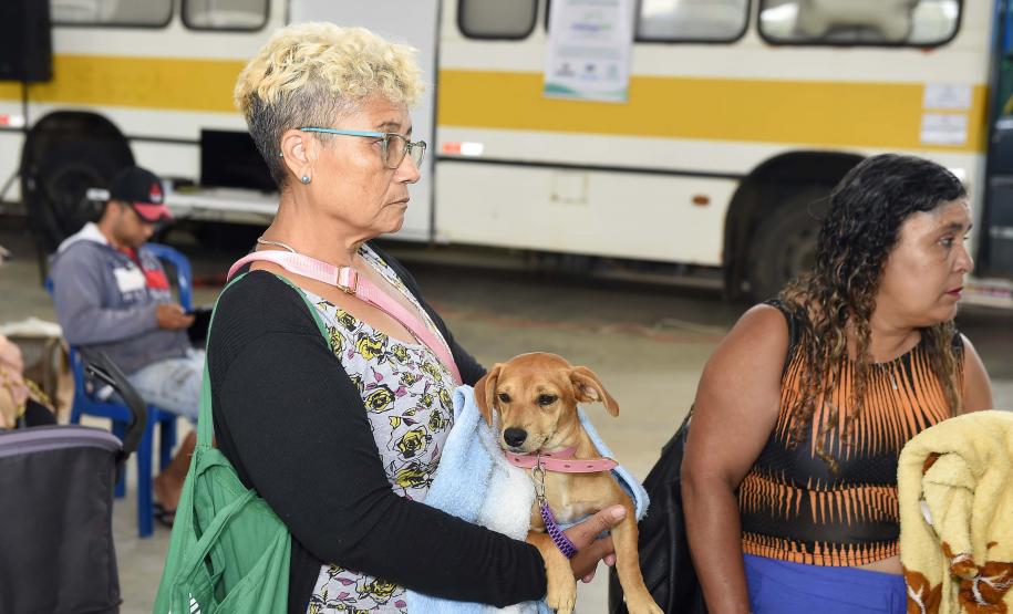 CastraPet leva saúde e bem-estar a cães e gatos da Região Metropolitana de Curitiba