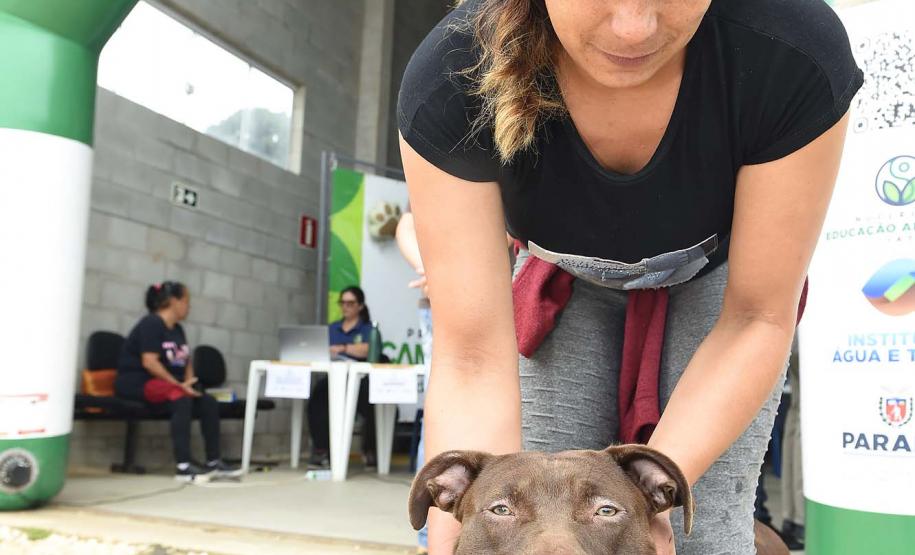 CastraPet leva saúde e bem-estar a cães e gatos da Região Metropolitana de Curitiba