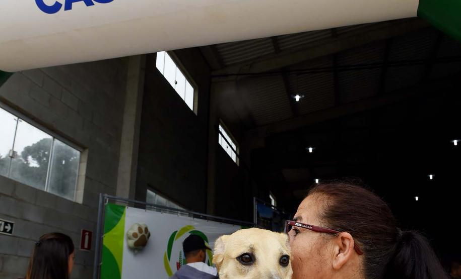 CastraPet leva saúde e bem-estar a cães e gatos da Região Metropolitana de Curitiba