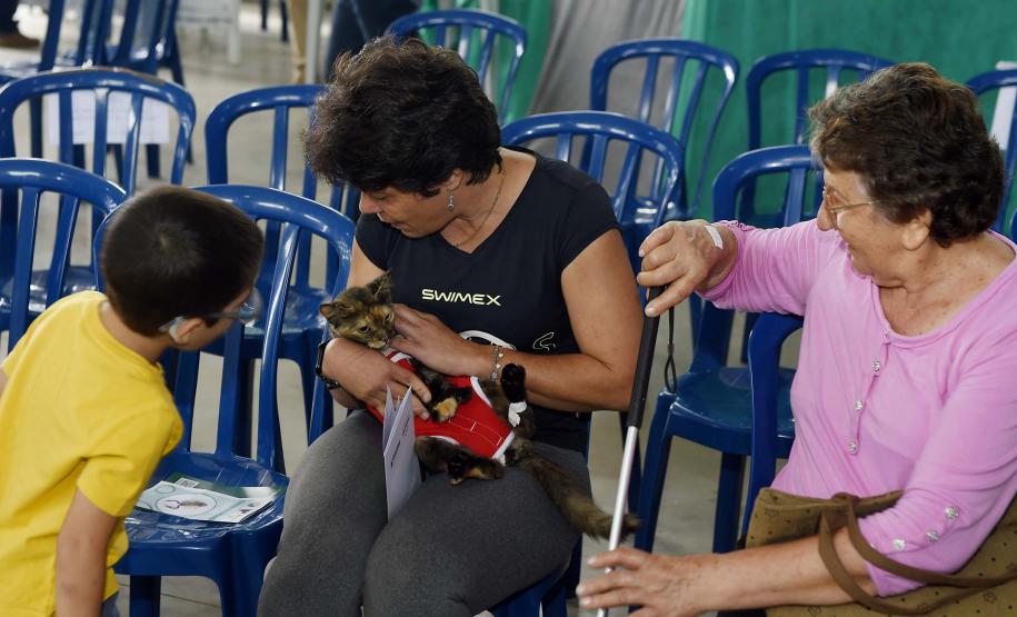 CastraPet leva saúde e bem-estar a cães e gatos da Região Metropolitana de Curitiba