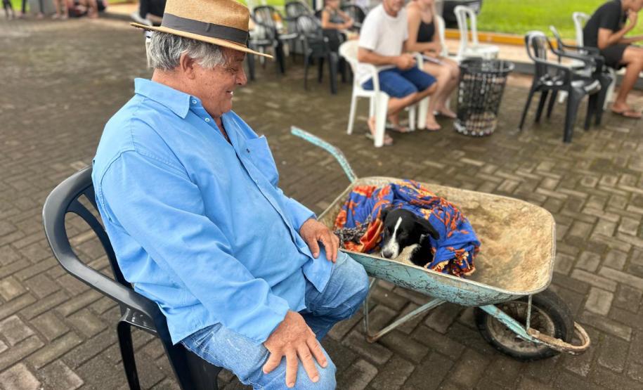 Com destaque para RMC, CastraPet vai beneficiar cães e gatos de 42 municípios em fevereiro