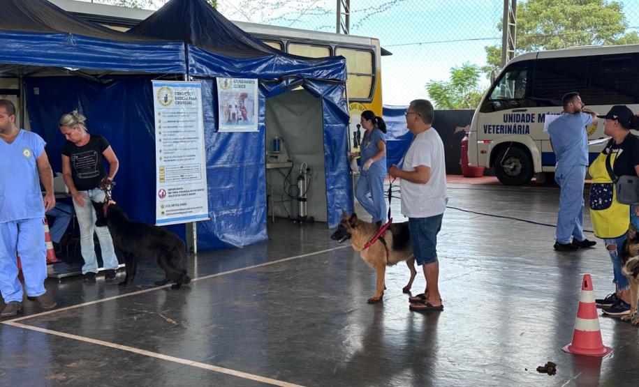 Com destaque para RMC, CastraPet vai beneficiar cães e gatos de 42 municípios em fevereiro