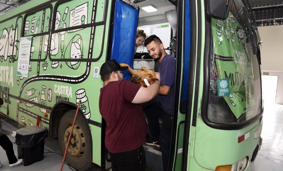 CastraPet leva saúde e bem-estar a cães e gatos da Região Metropolitana de Curitiba
