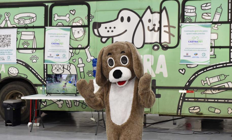 CastraPet leva saúde e bem-estar a cães e gatos da Região Metropolitana de Curitiba