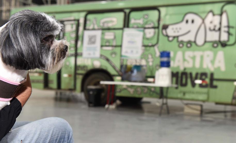 CastraPet leva saúde e bem-estar a cães e gatos da Região Metropolitana de Curitiba