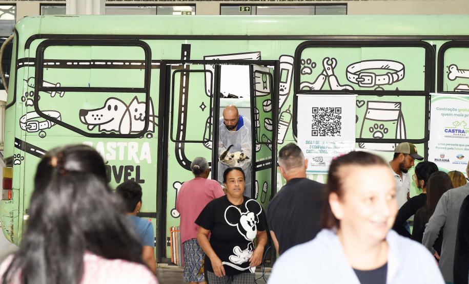 CastraPet leva saúde e bem-estar a cães e gatos da Região Metropolitana de Curitiba