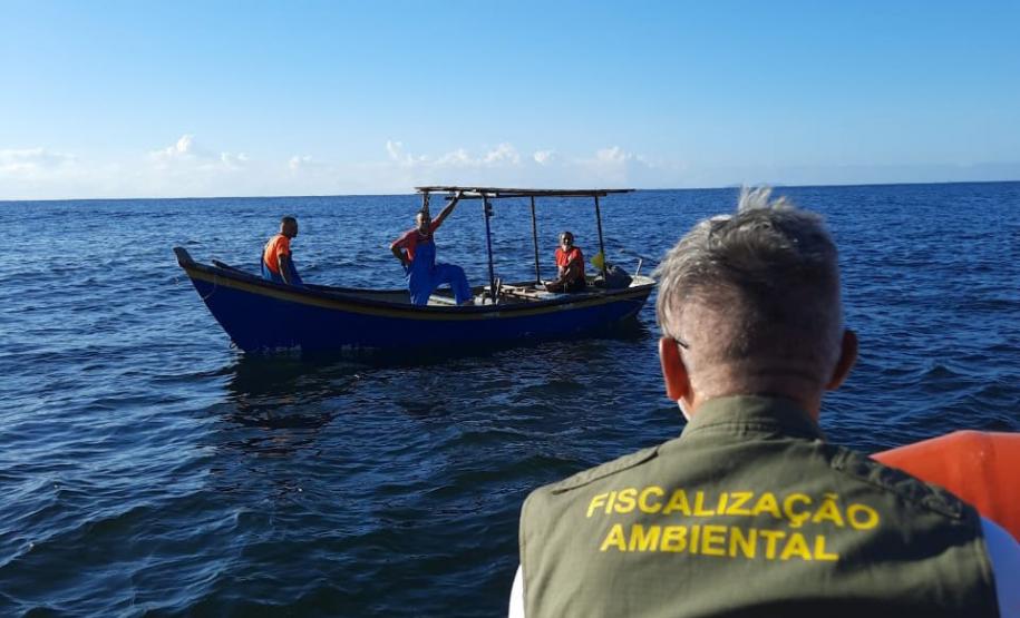 IAT cria novo canal para denúncias de crimes ambientais no Paraná