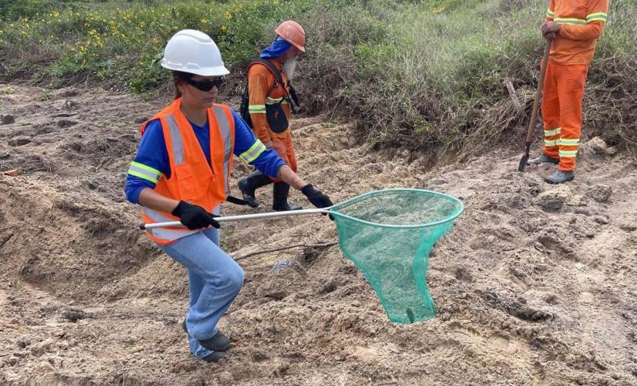 Monitoramento ambiental garante requalificação eficiente da orla de Pontal do Paraná