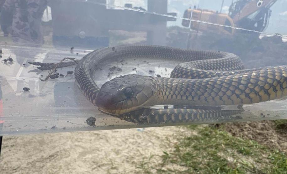 Monitoramento ambiental garante requalificação eficiente da orla de Pontal do Paraná