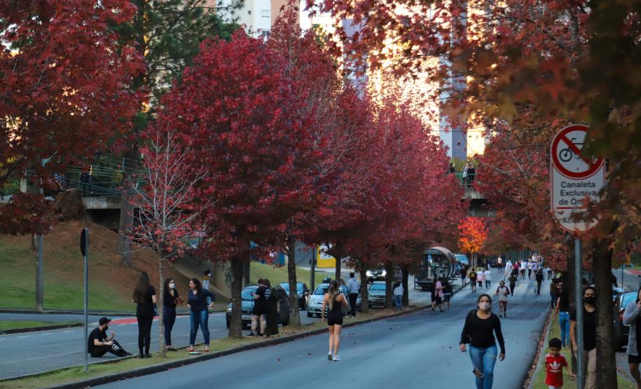 Outono começa na sexta com chuva acima da média e mais dias com amplitude térmica