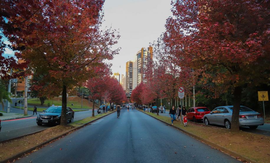 Outono começa na sexta com chuva acima da média e mais dias com amplitude térmica