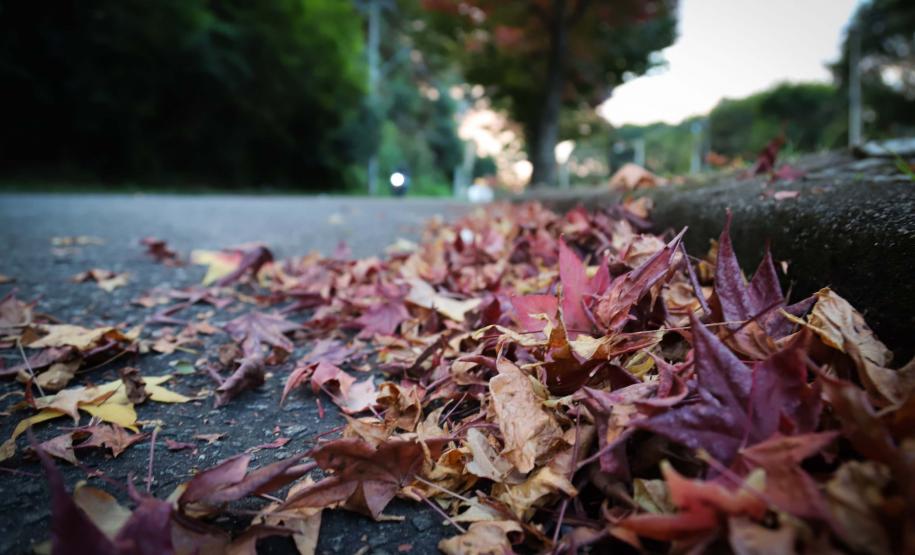 Outono começa na sexta com chuva acima da média e mais dias com amplitude térmica
