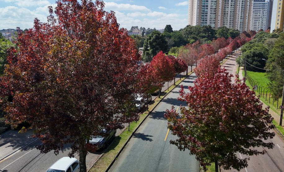 Outono começa na sexta com chuva acima da média e mais dias com amplitude térmica