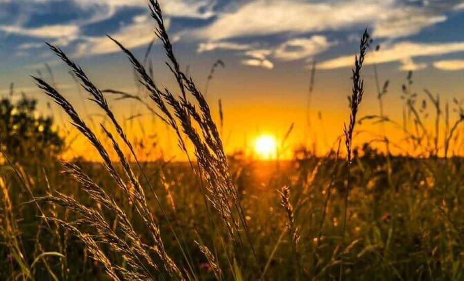 Monitor da ANA aponta avanço da seca fraca no Centro-Oeste do Paraná em fevereiro