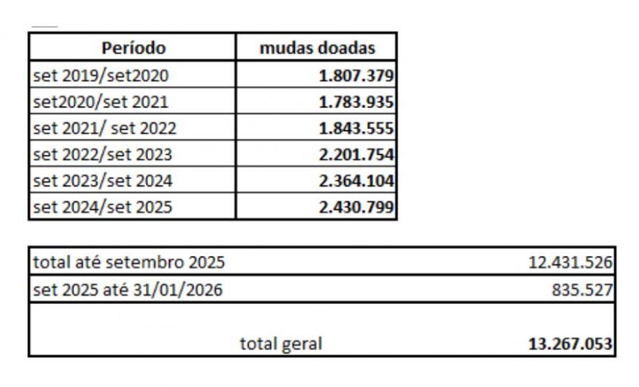 Paraná supera 13,2 milhões de mudas distribuídas: conheças as espécies mais procuradas