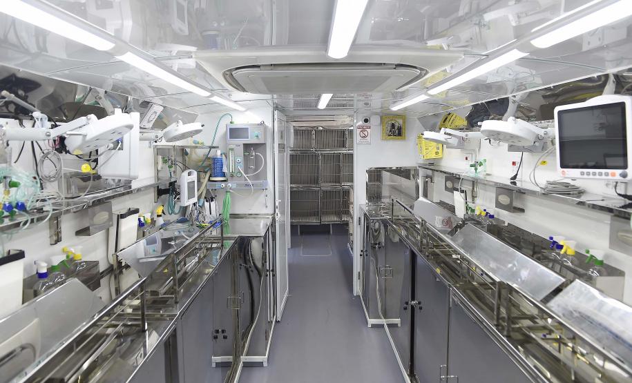 Estado amplia vagas de castração de gatos para combater a esporotricose