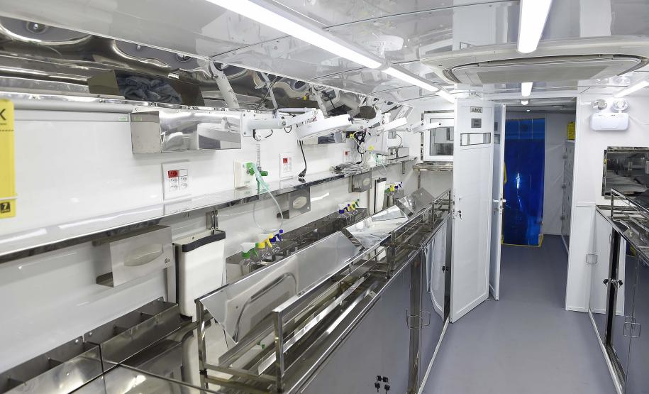 Estado amplia vagas de castração de gatos para combater a esporotricose