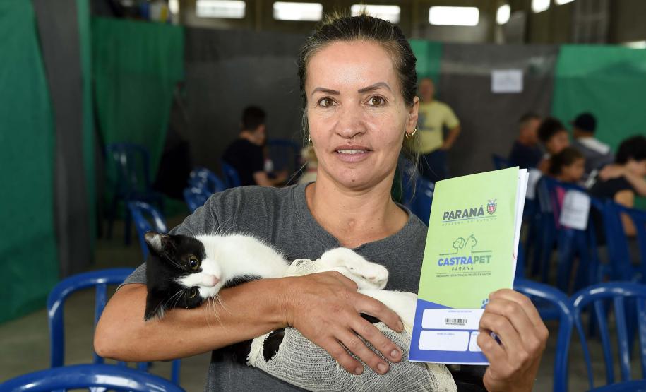 Estado amplia vagas de castração de gatos para combater a esporotricose