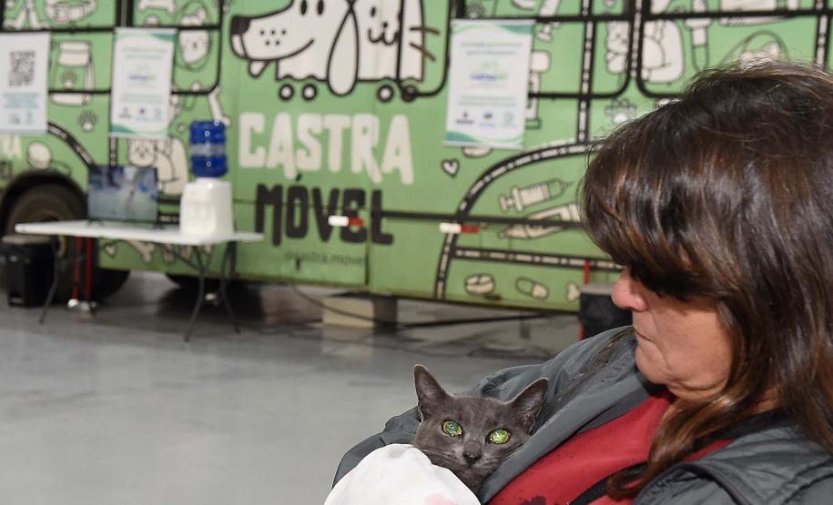 Estado amplia vagas de castração de gatos para combater a esporotricose