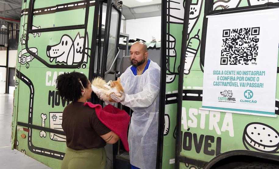 Estado amplia vagas de castração de gatos para combater a esporotricose