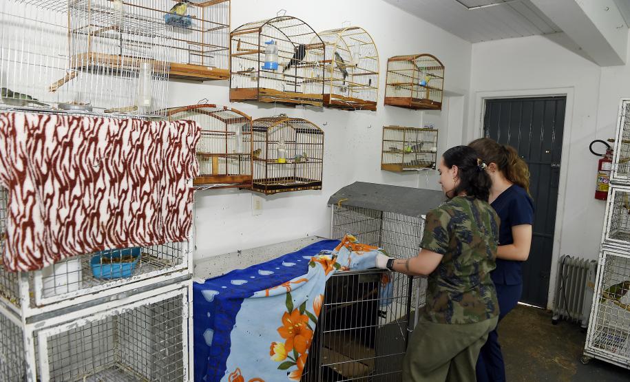 IAT reforça parceria com a Unicentro para atendimento à fauna silvestre