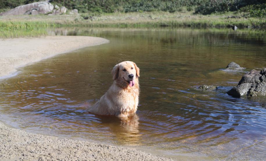 Fim de semana será de sol e calor pelo Paraná, prevê o Simepar