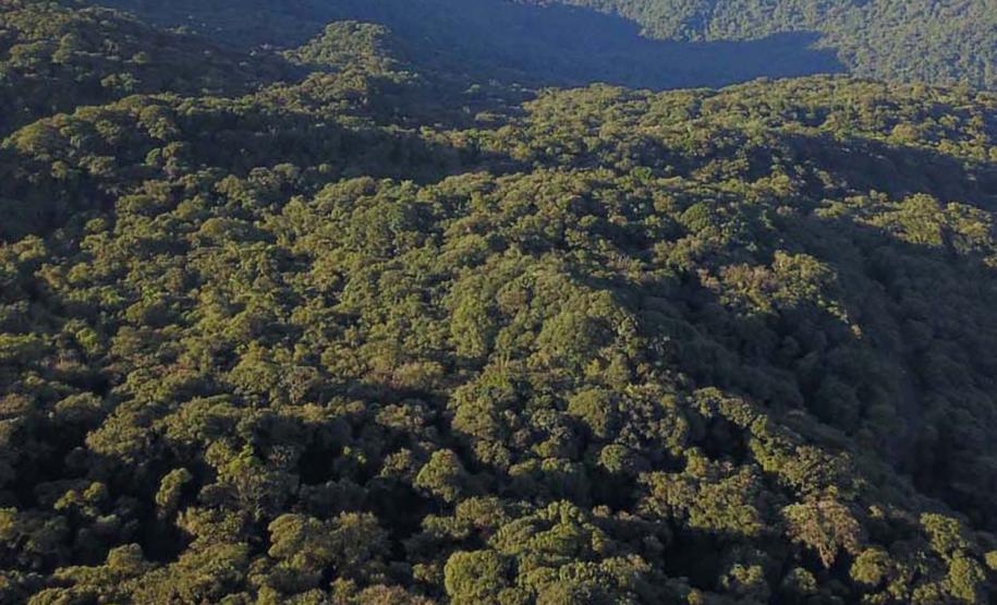 Paraná é um dos quatro estados do Brasil a contar com Plano de Ação Climática