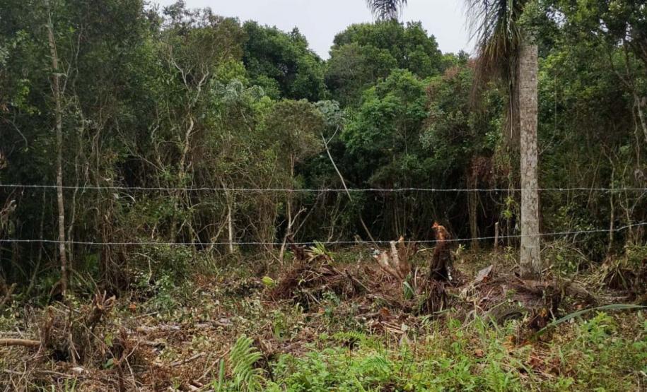 IAT aplicou R$ 1,9 milhão em multas por crimes ambientais durante o Verão Maior Paraná